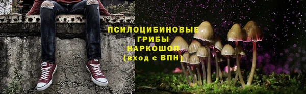 прущая мука Алексин
