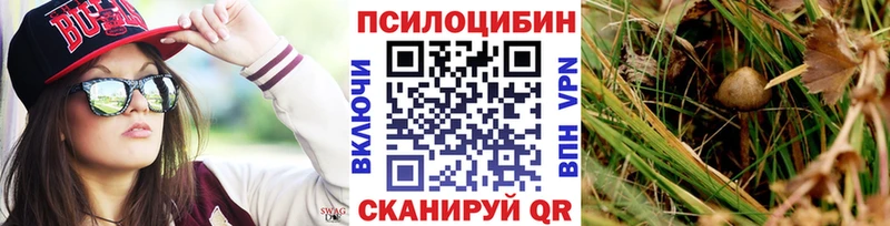 Псилоцибиновые грибы GOLDEN TEACHER  Нижний Ломов 